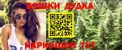 mdpv Кимры