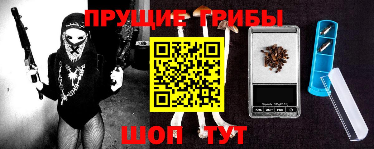 Галлюциногенные грибы Psilocybe Качканар