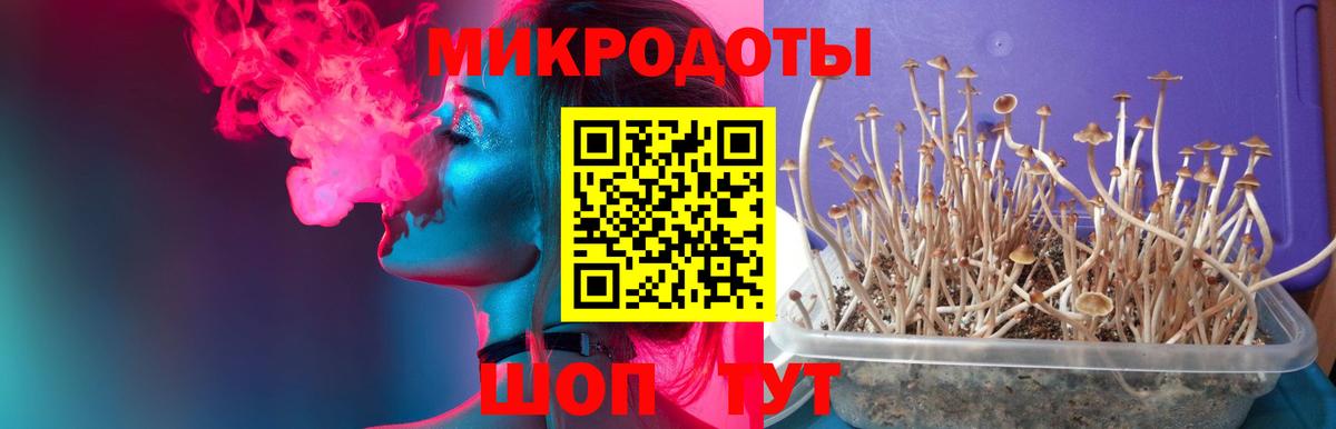 Псилоцибиновые грибы Magic Shrooms  Вход с VPN  Качканар 